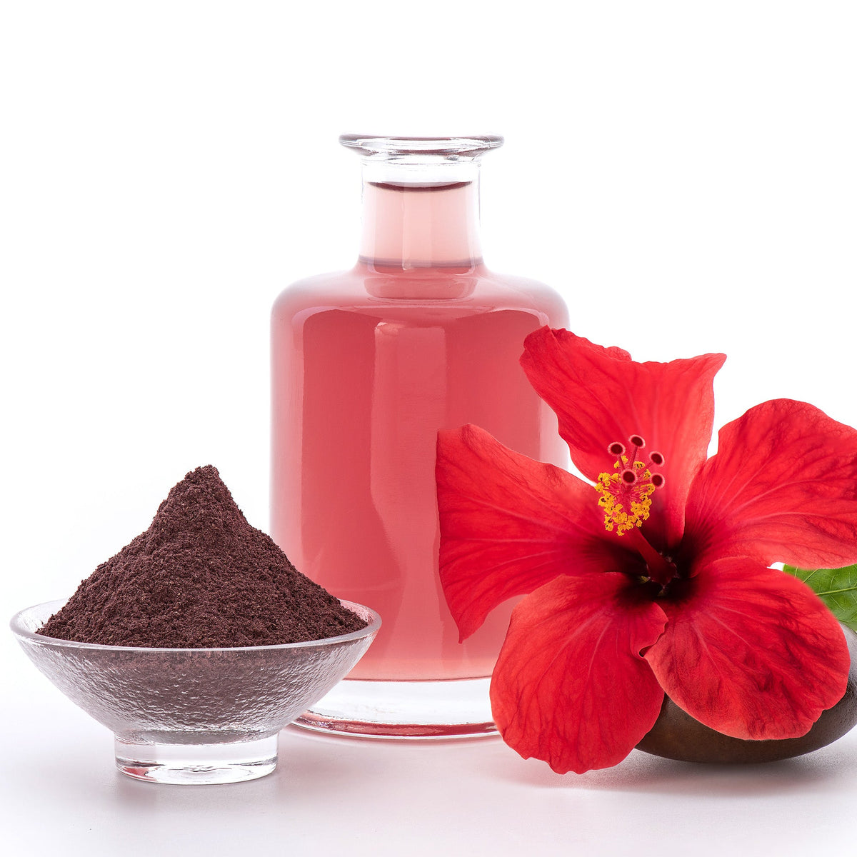 Hibiscus Powder