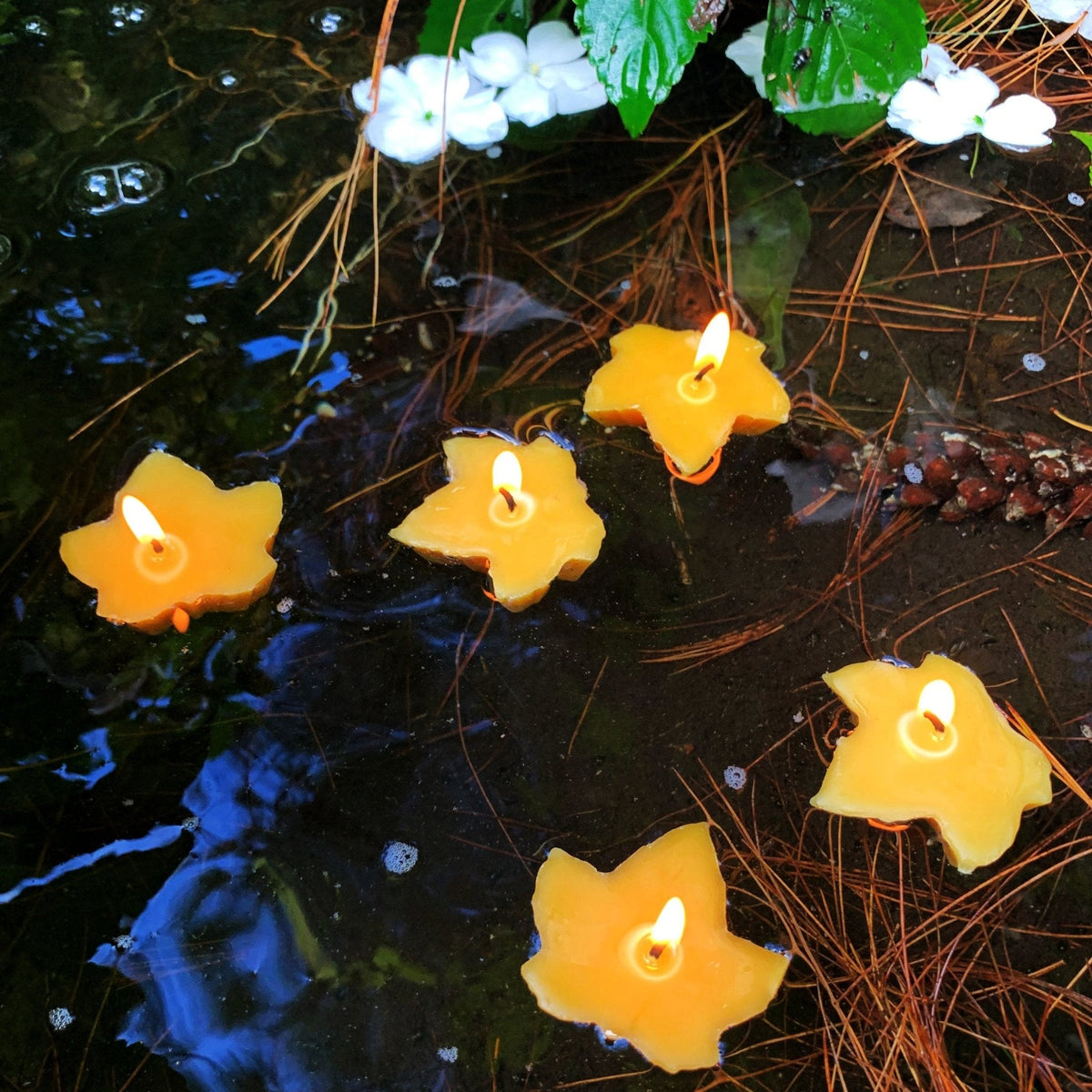Floating Maple Leaf Beeswax Candles