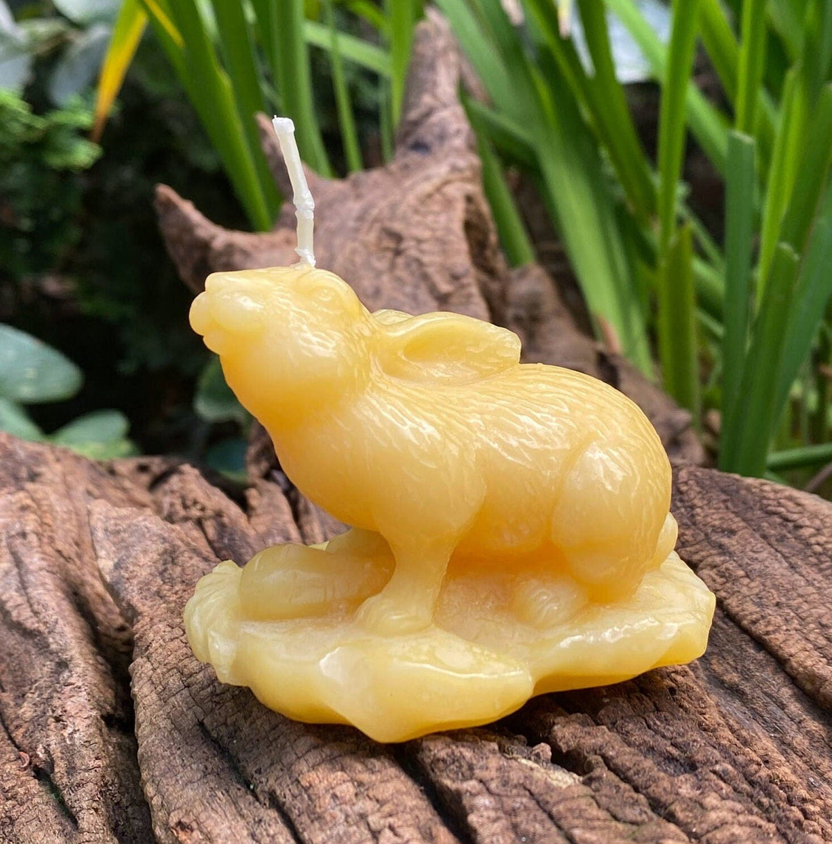 Garden Rabbit Beeswax Candle