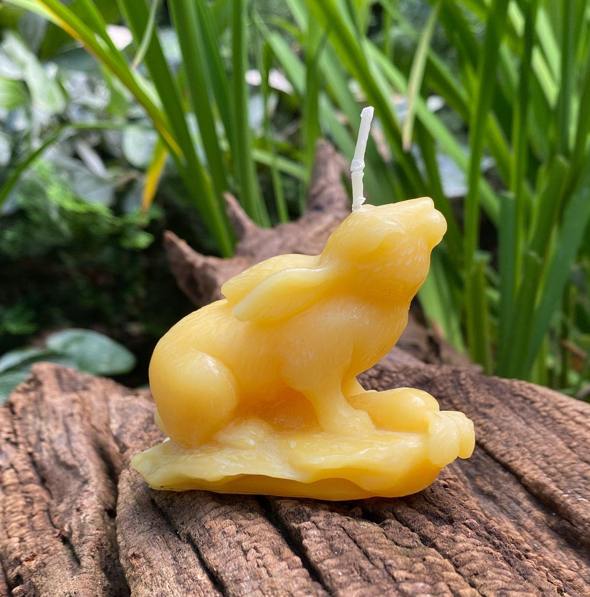 Garden Rabbit Beeswax Candle
