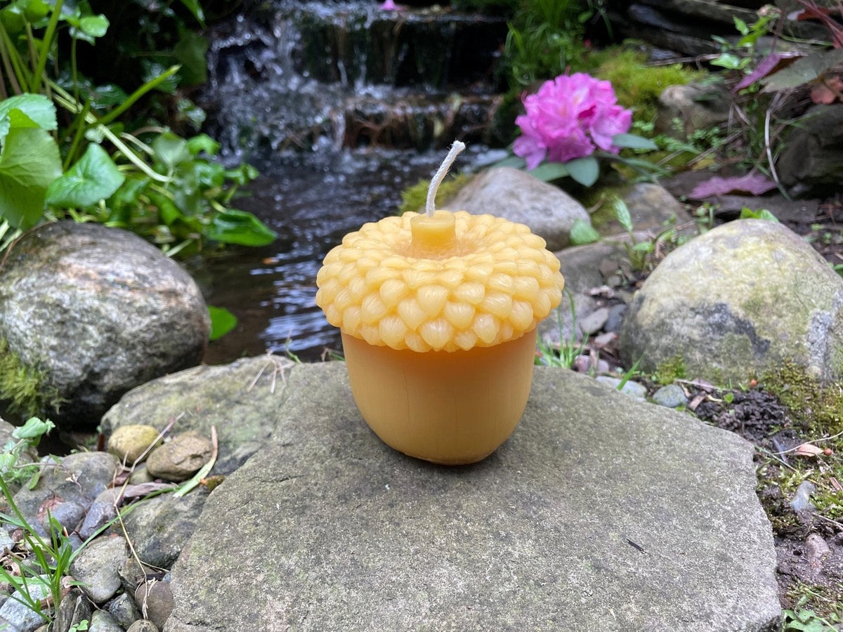 Giant Acorn Beeswax Candle