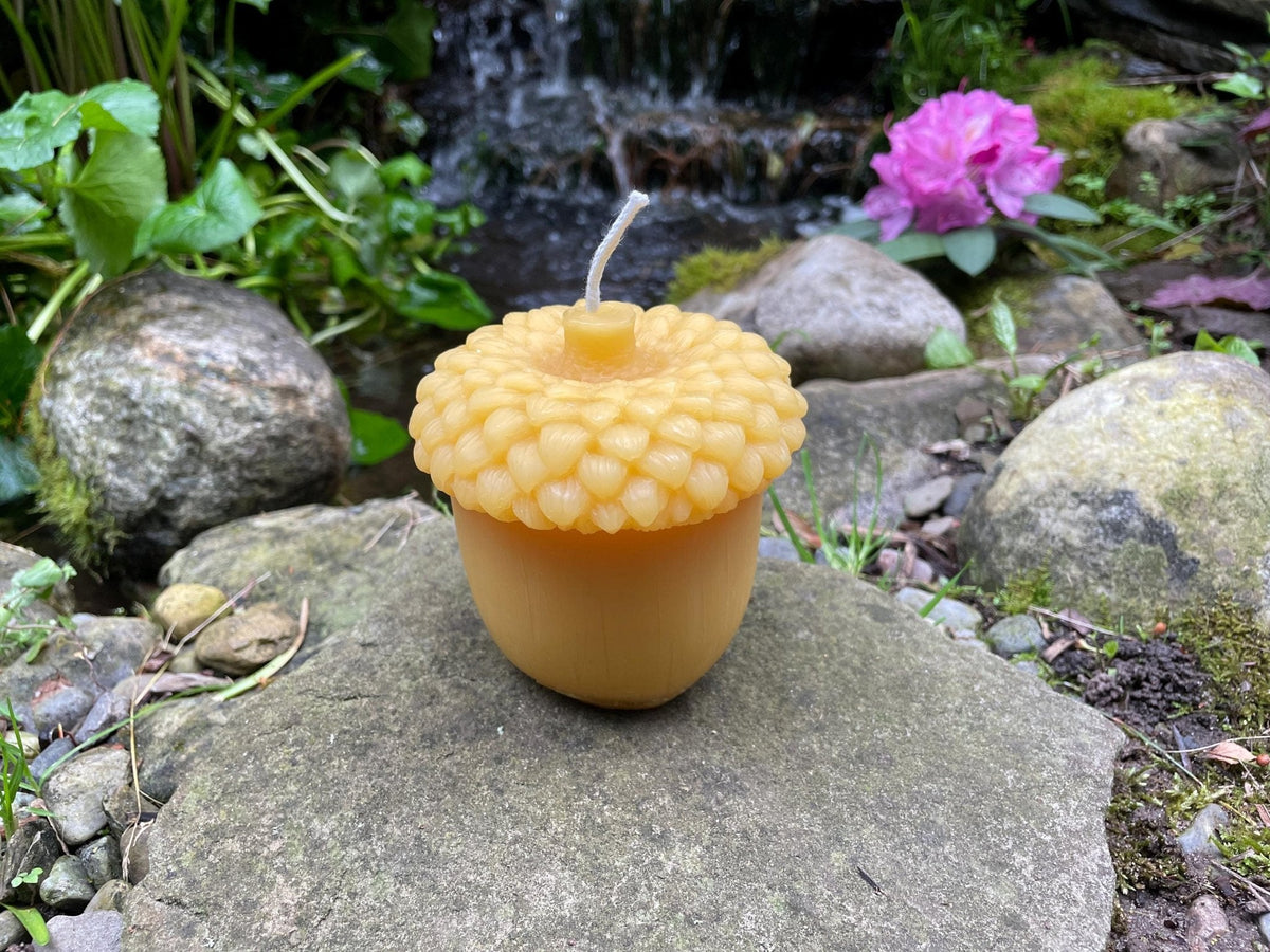 Giant Acorn Beeswax Candle