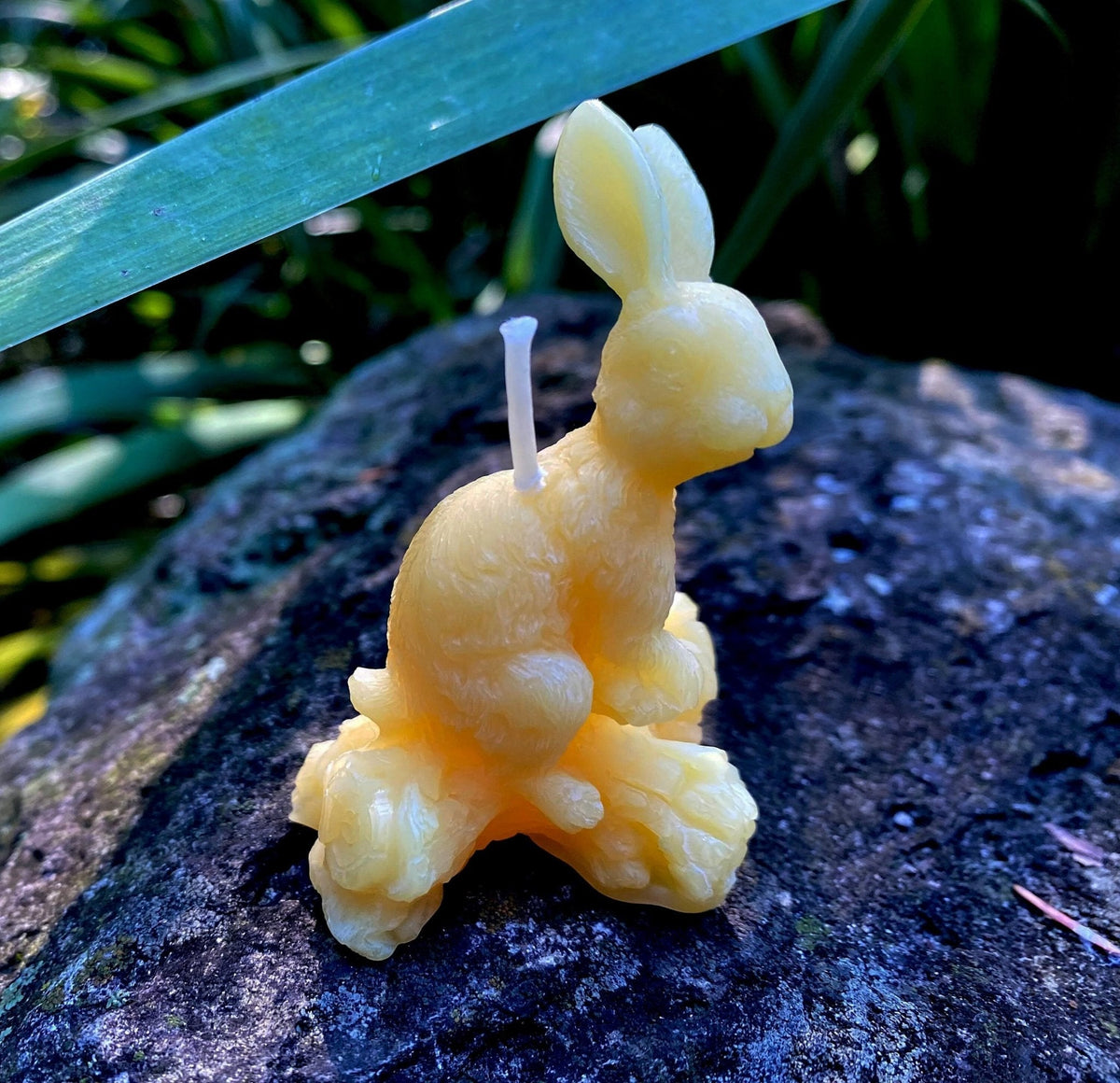 Hare Beeswax Candle