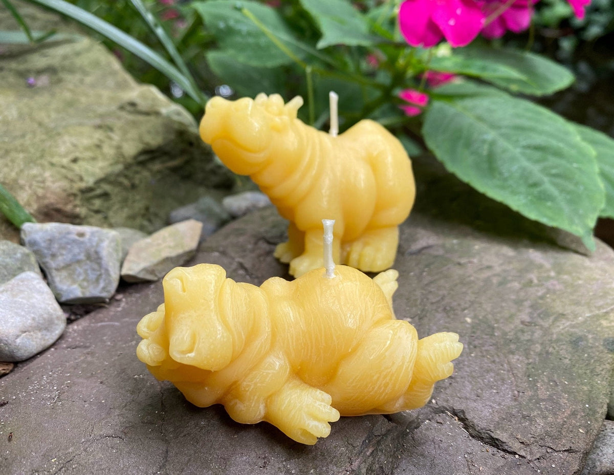 Hippo Buddies Beeswax Candles
