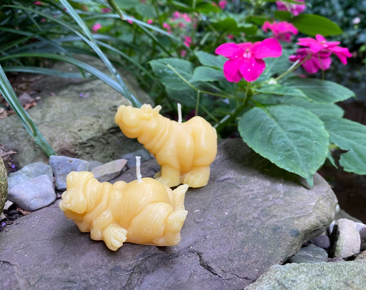 Hippo Buddies Beeswax Candles