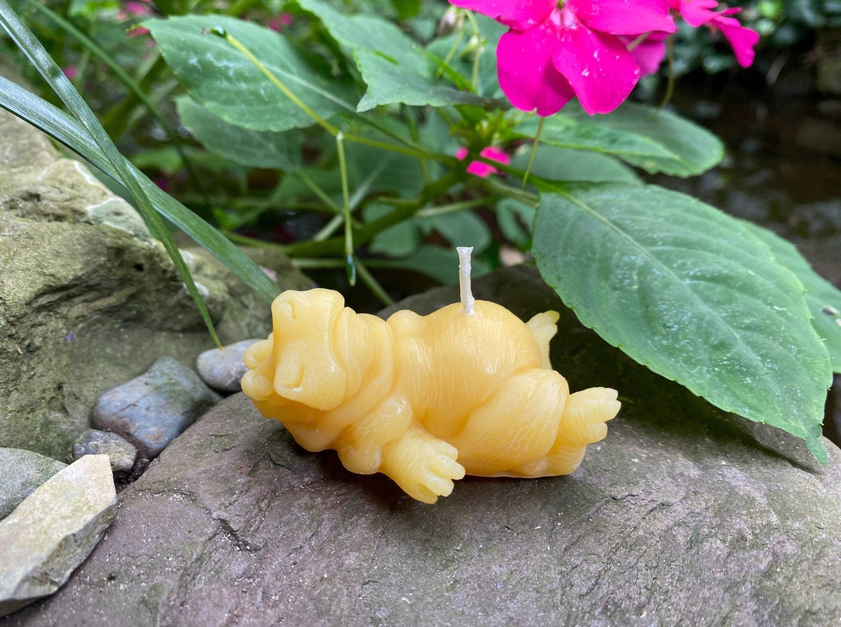 Hippo Buddies Beeswax Candles