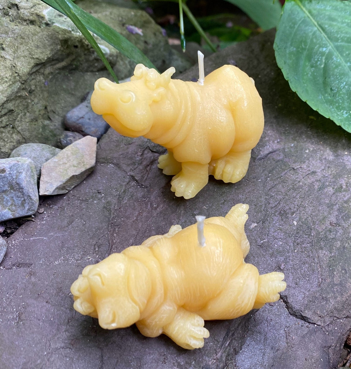 Hippo Buddies Beeswax Candles