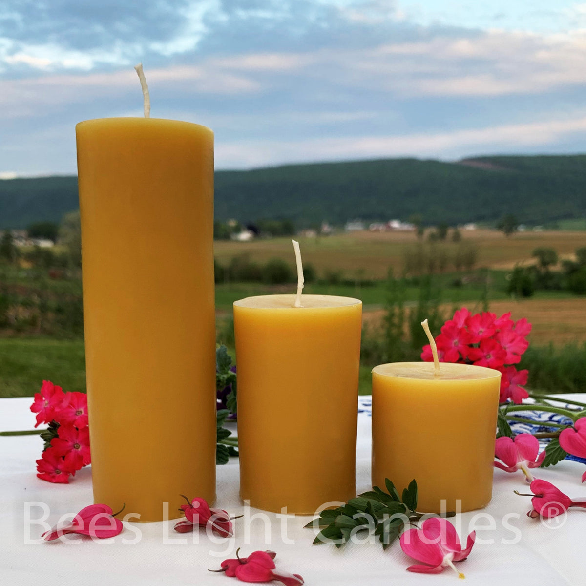 2 Inch Yellow Beeswax Pillar Candle Set