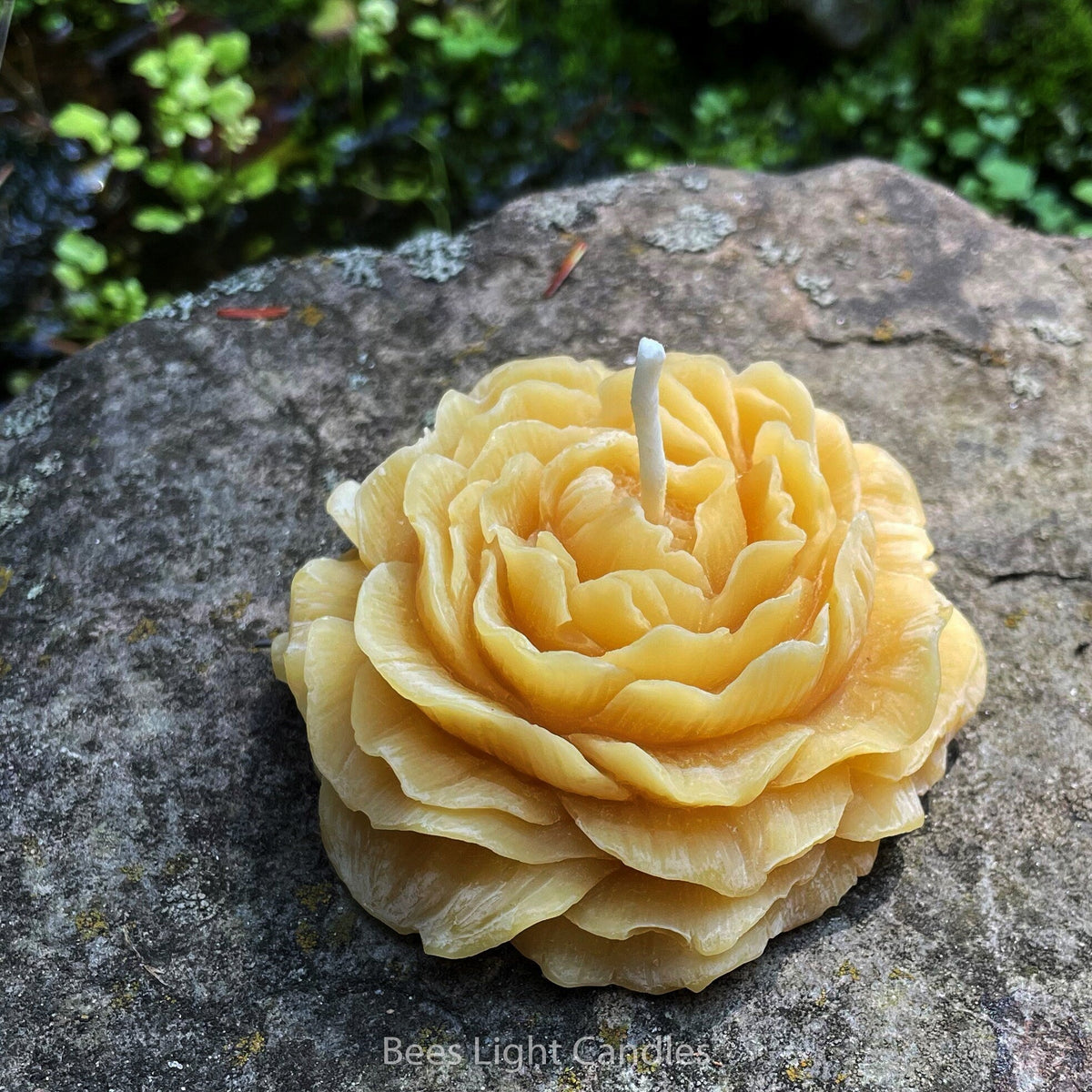 Peony Flower Beeswax Candle