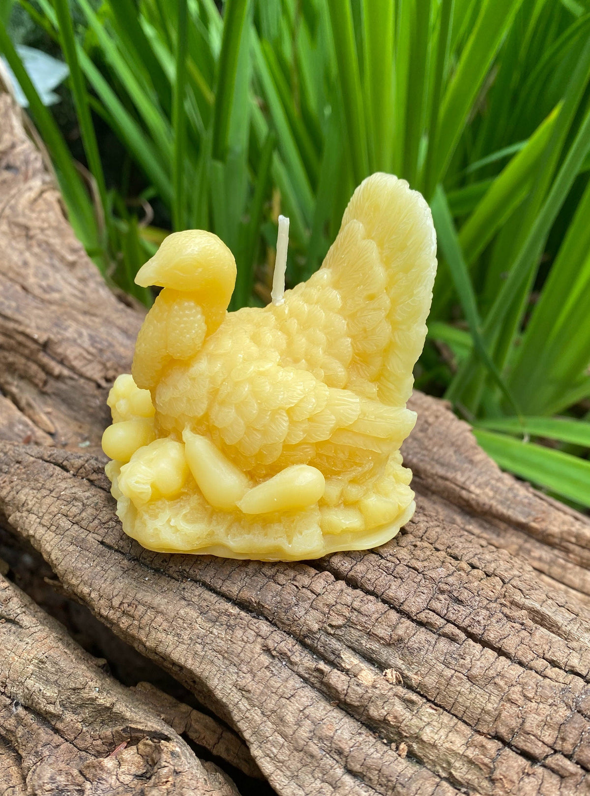 Turkey Beeswax Candle
