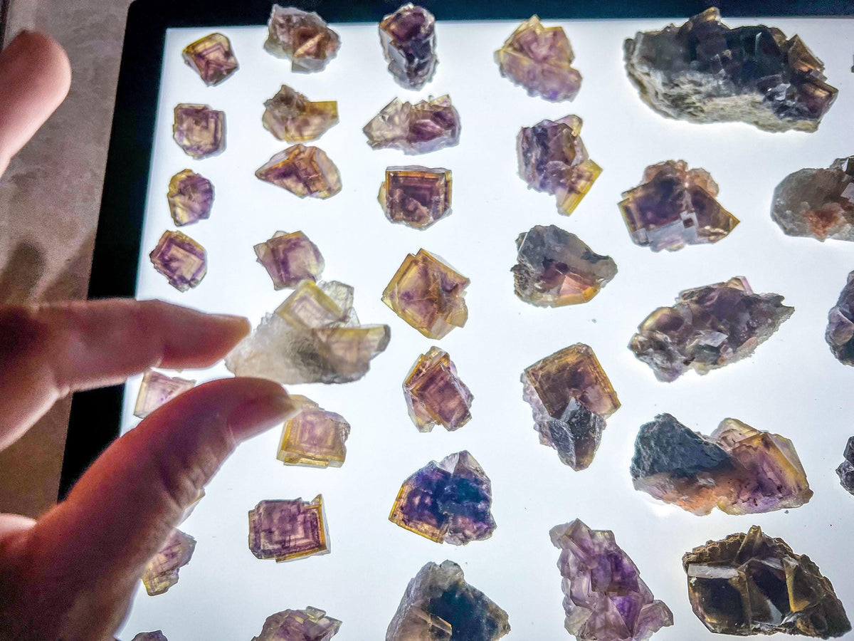ANHUI Yellow Fluorite with Thousand Layer Purple Phantoms, RARE Minerals