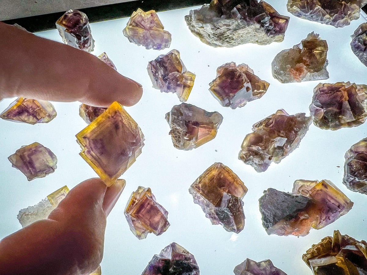 ANHUI Yellow Fluorite with Thousand Layer Purple Phantoms, RARE Minerals
