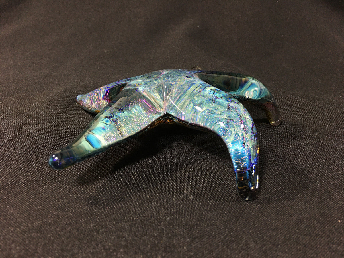 Coronado Sparkle Starfish