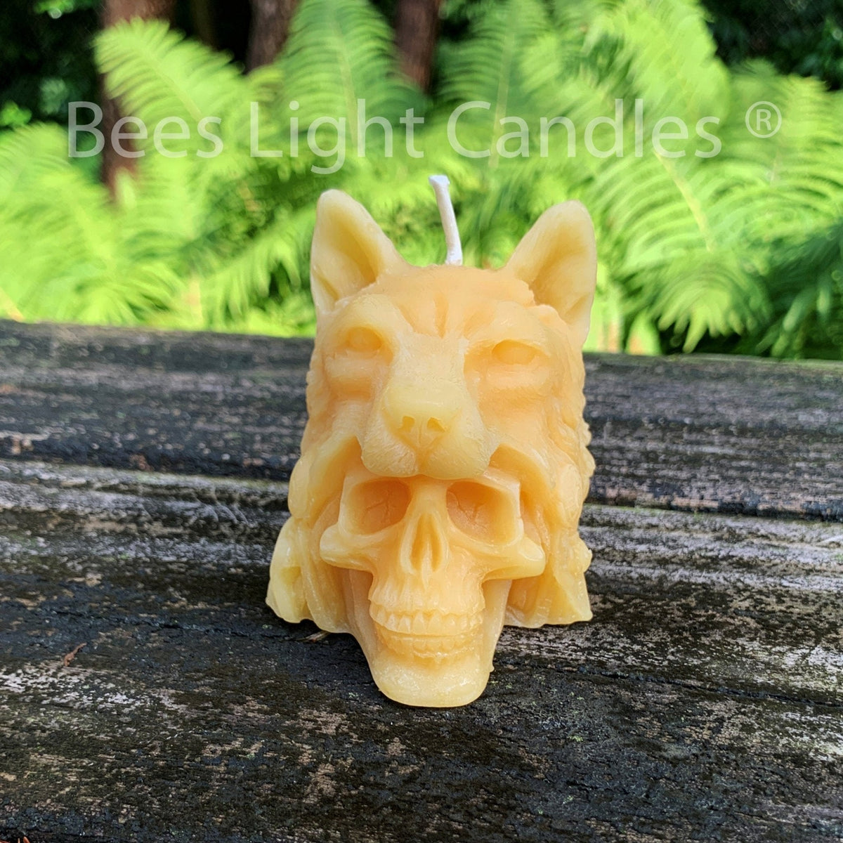 Indian Chief Skull Wolf Candle