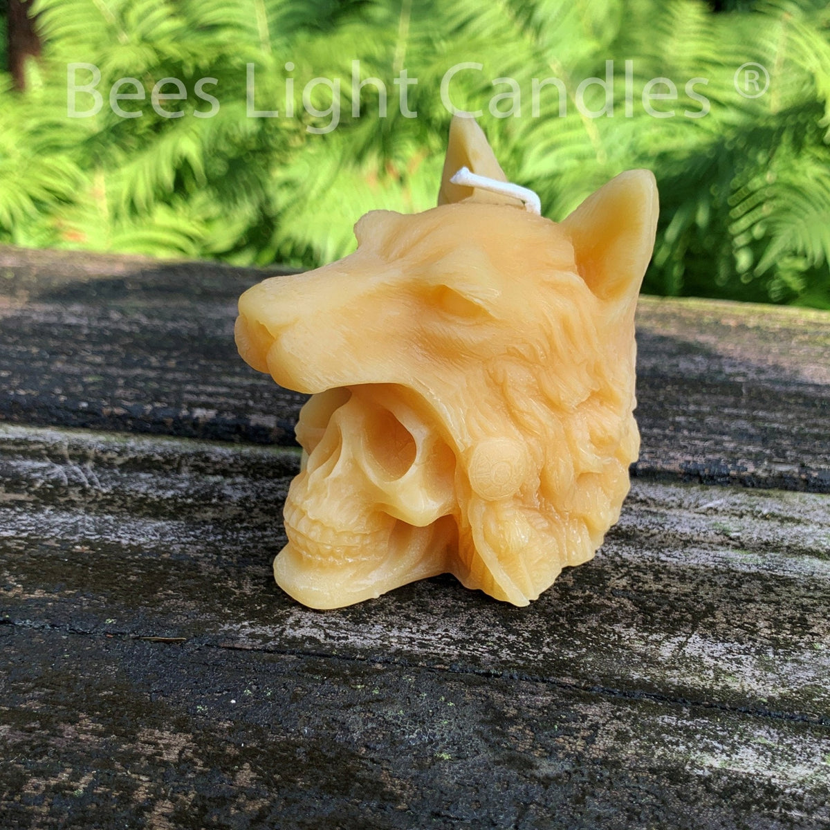 Indian Chief Skull Wolf Candle