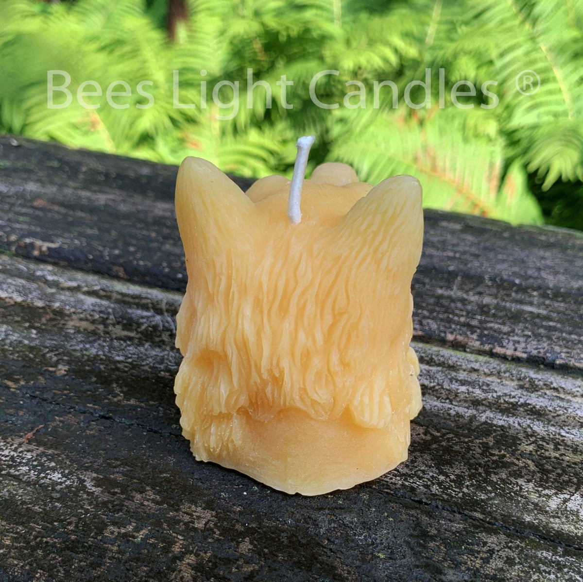 Indian Chief Skull Wolf Candle