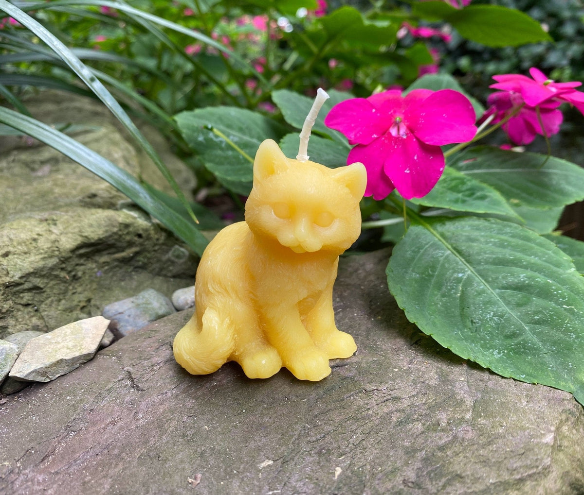 Kitten Beeswax Candle