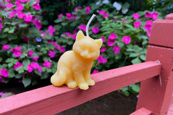 Kitten Beeswax Candle