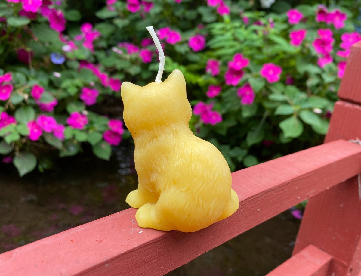 Kitten Beeswax Candle