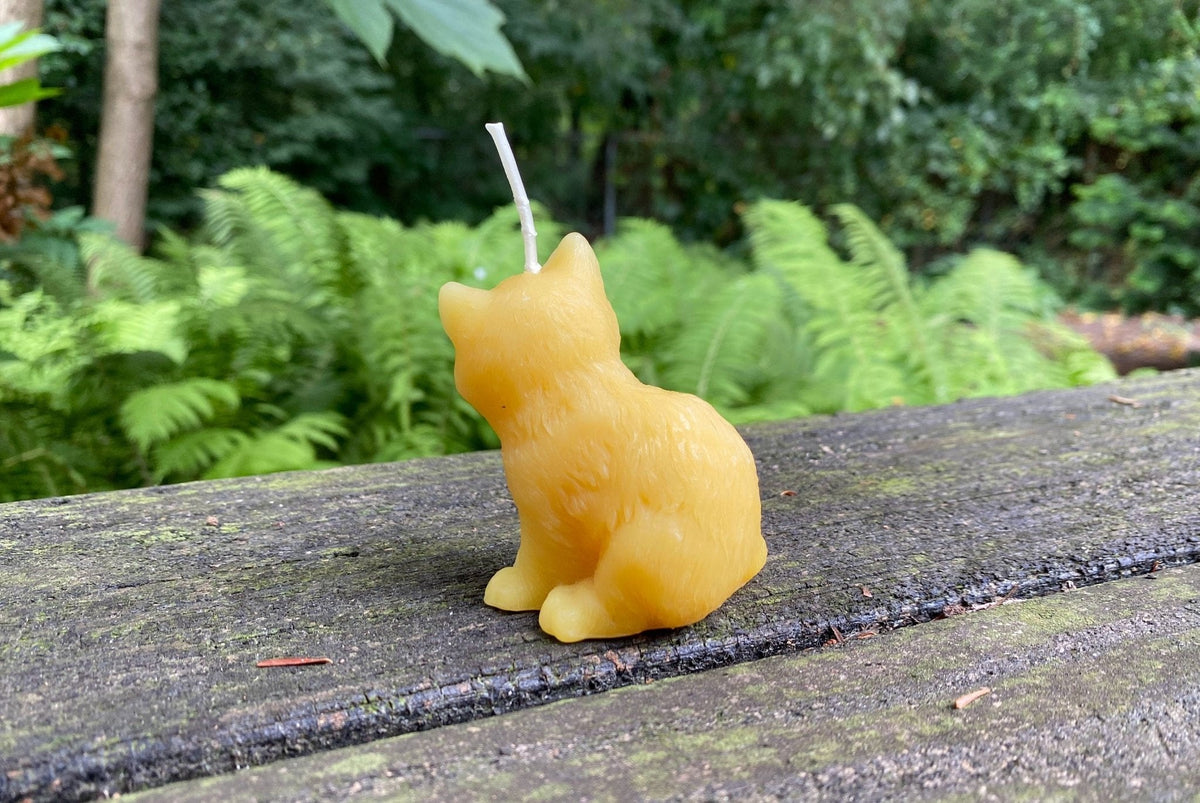 Kitten Beeswax Candle