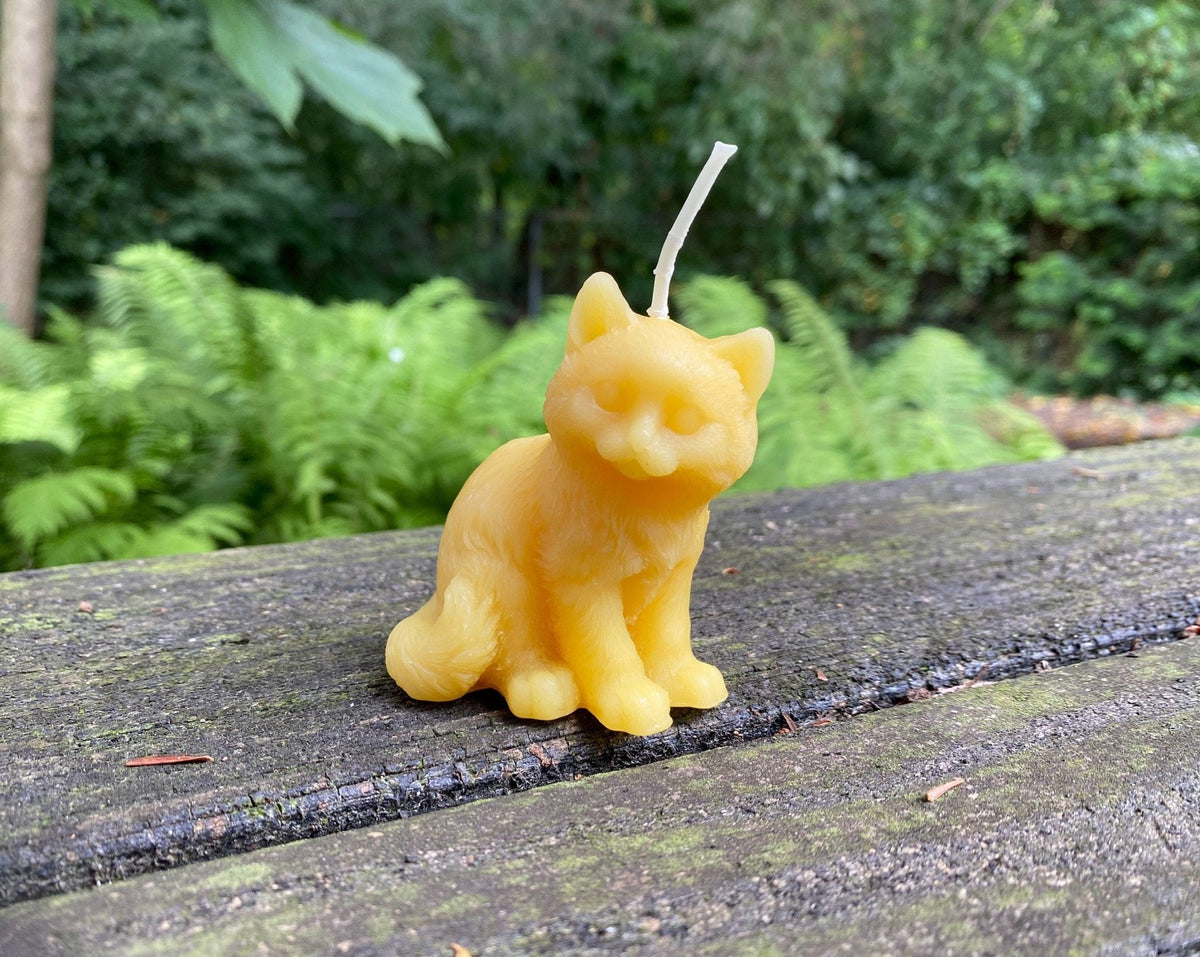 Kitten Beeswax Candle