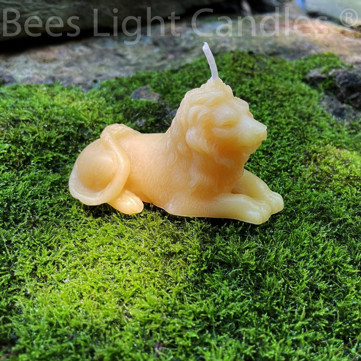 Lion Beeswax Candle
