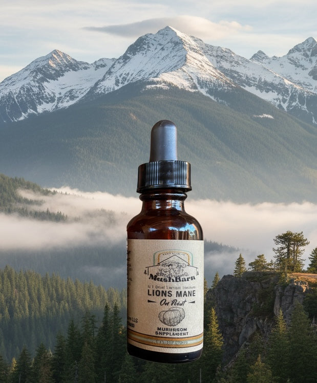 Lions Mane Tincture - On Point