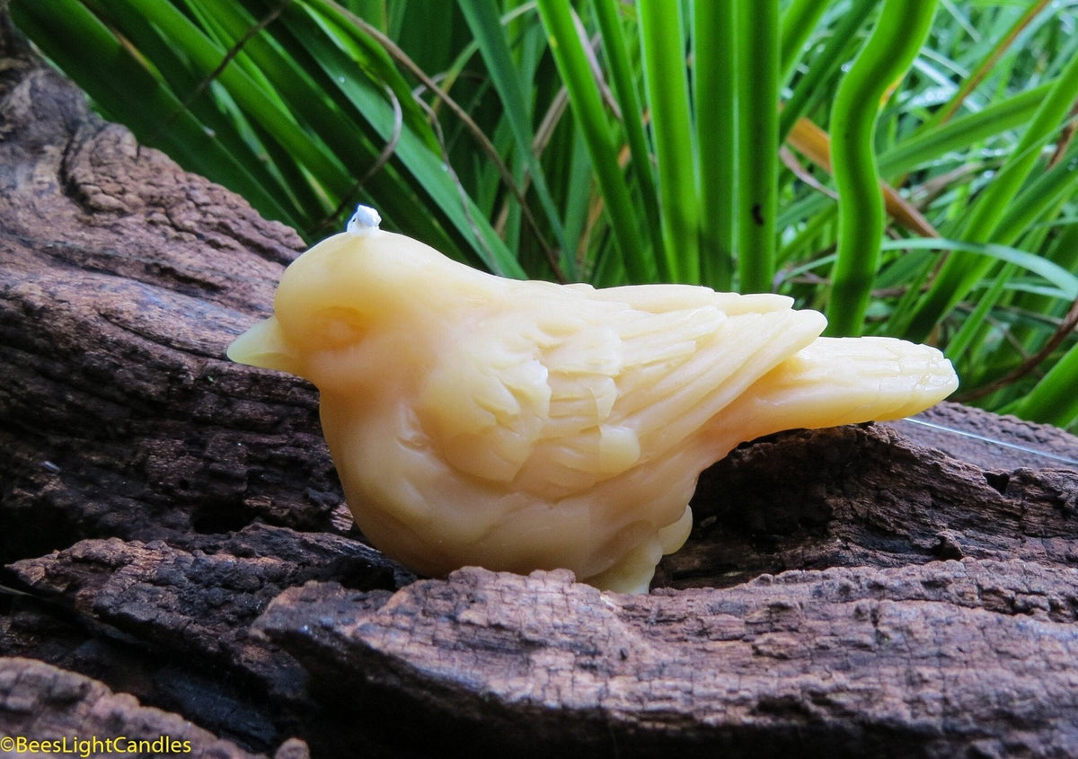 Little Bird Beeswax Candle
