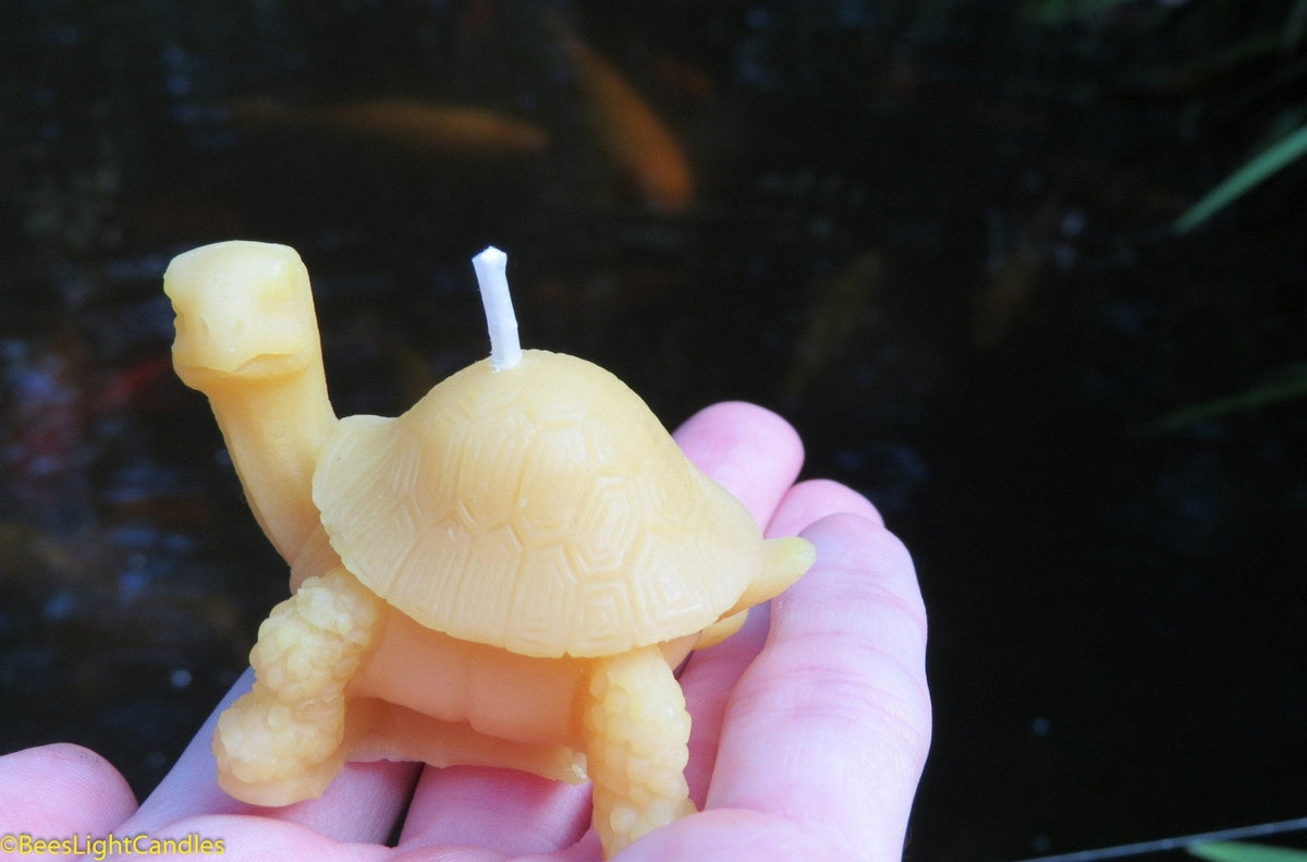 Little Turtle Beeswax Candle