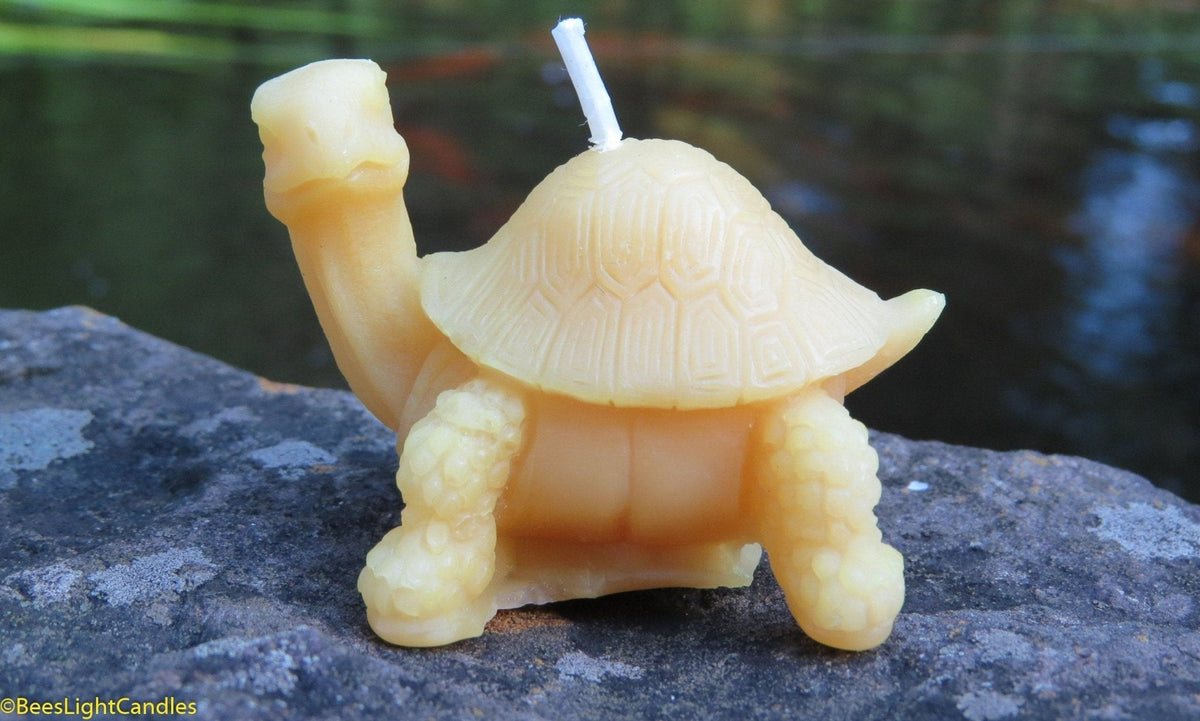 Little Turtle Beeswax Candle