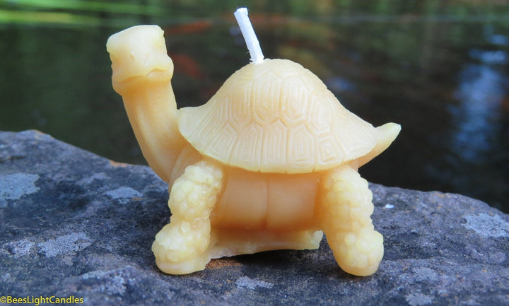 Little Turtle Beeswax Candle