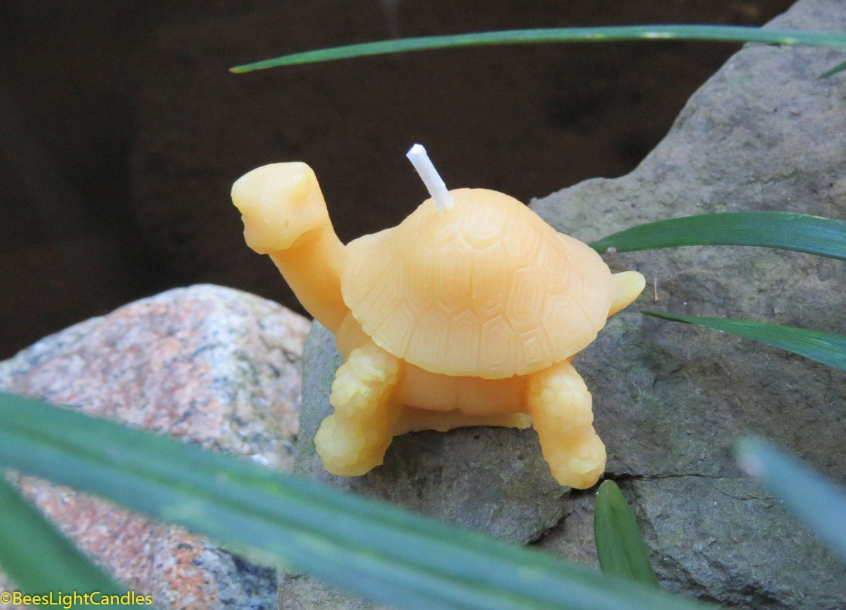 Little Turtle Beeswax Candle