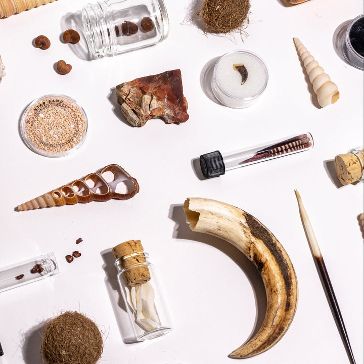 Wildlife Science Collection