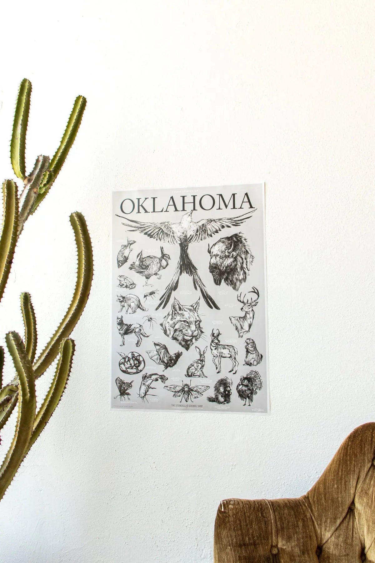 Oklahoma Wildlife Chart