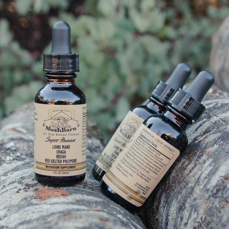 Super Stack Mushroom Tincture