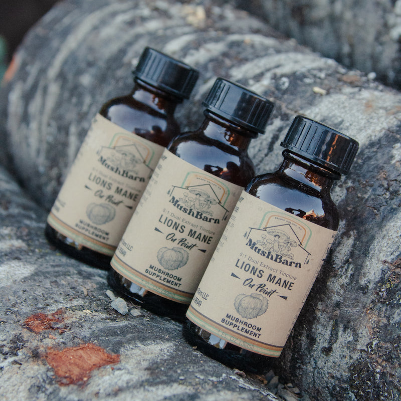 Lions Mane Tincture - On Point