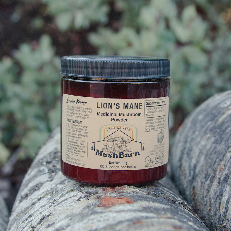 Lion's Mane Mushroom Powder