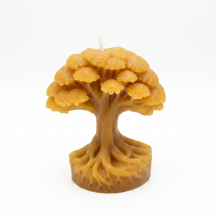 Beeswax Tree Candle