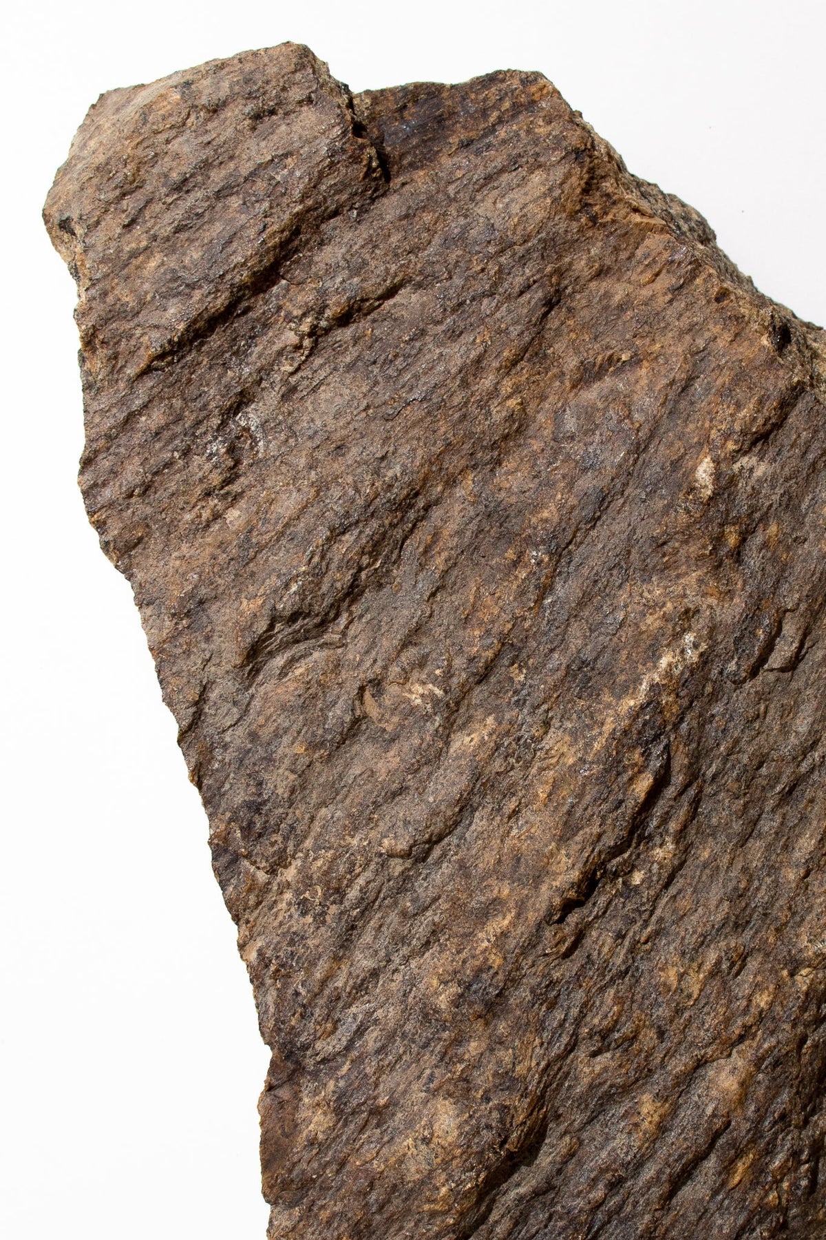 Shatter Cone