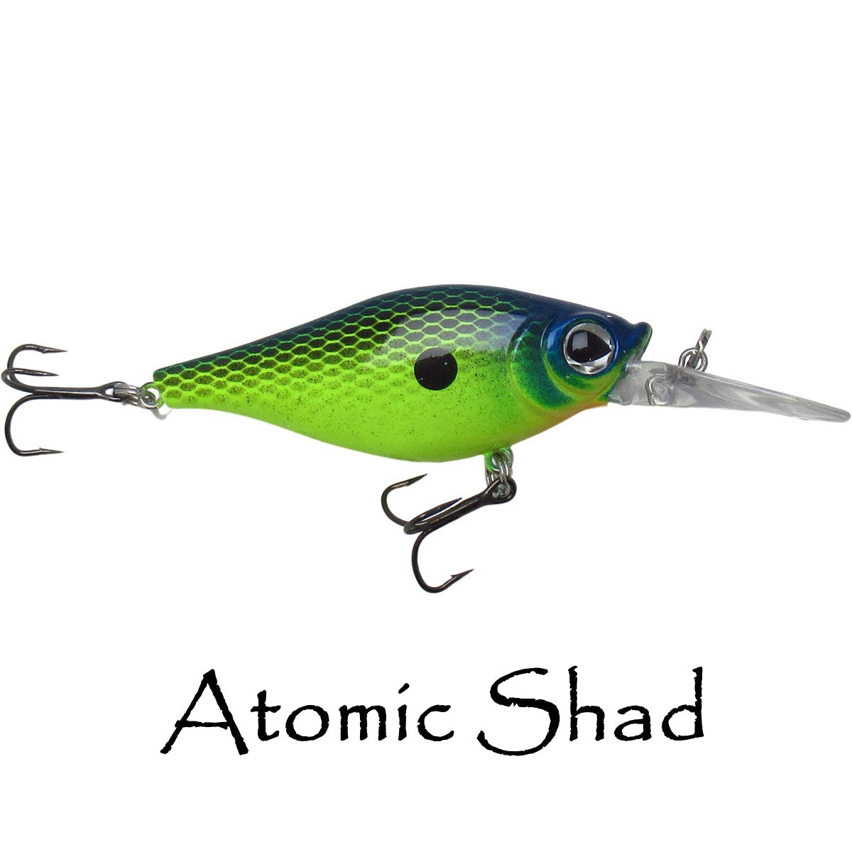 Shaky Shad 5 & 7