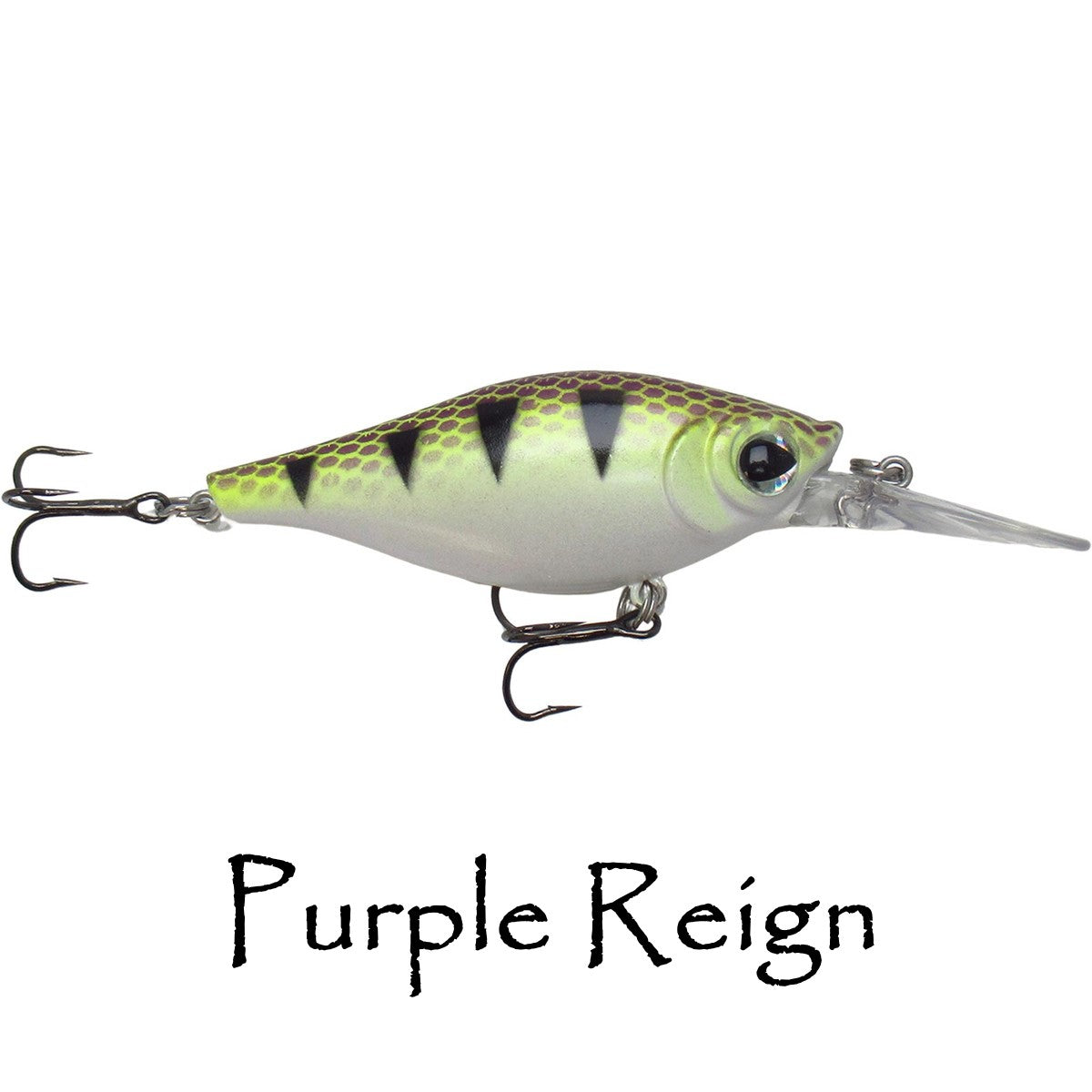 Shaky Shad 5 & 7