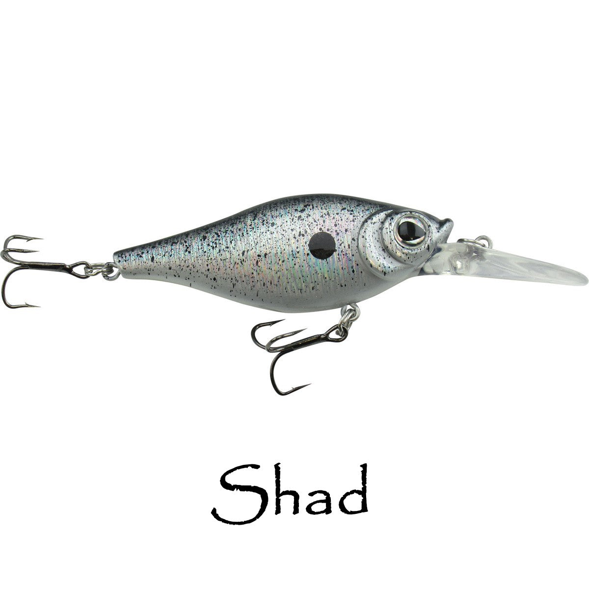 Shaky Shad 5 & 7