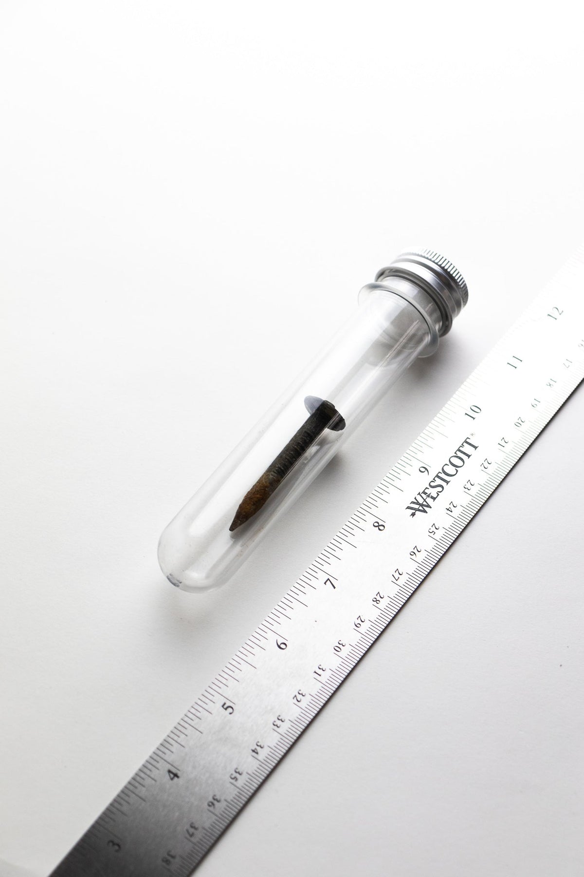 Steel Date Nail