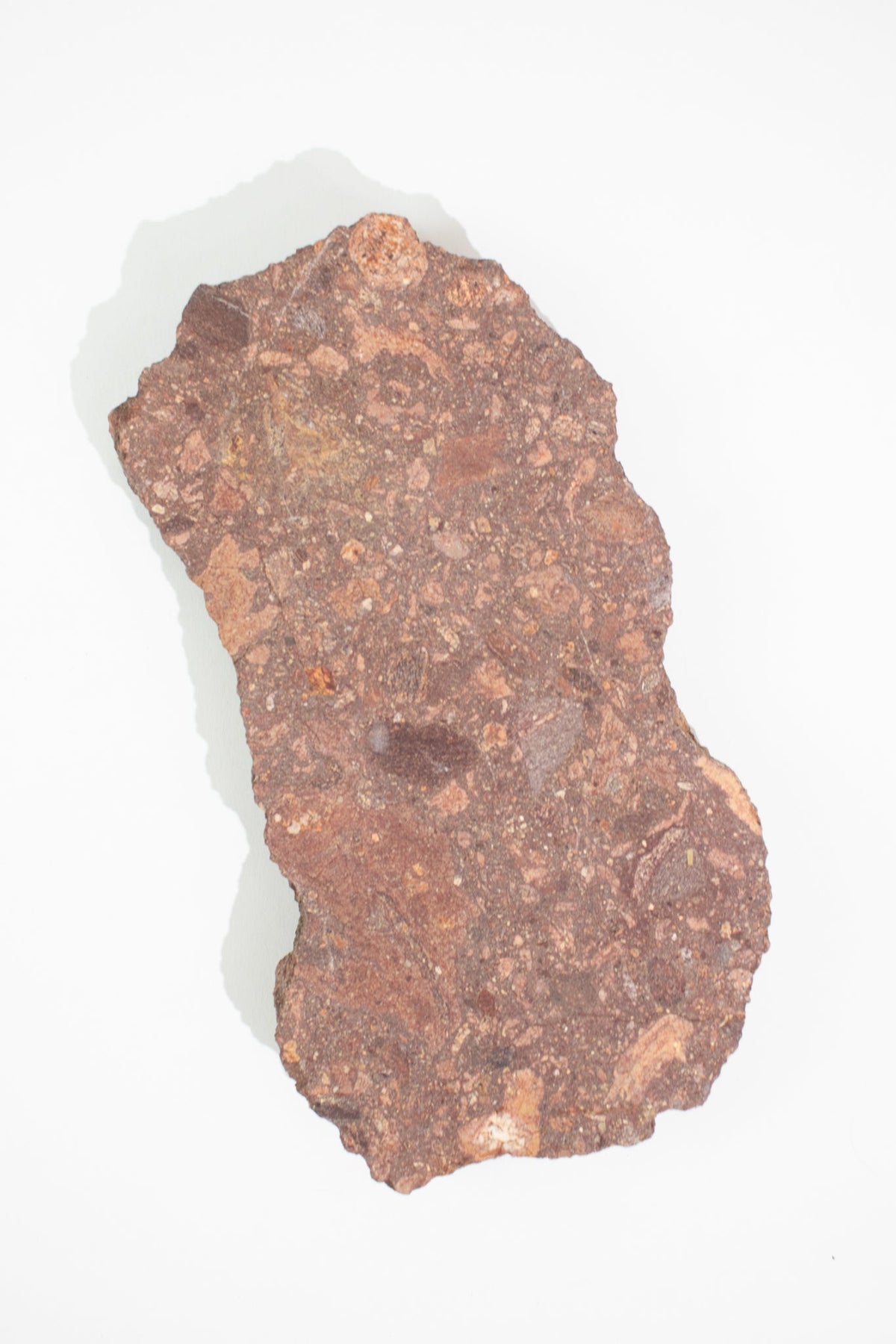 Suevite Impactite Fragment – Rochechouart Meteorite Impact Rock