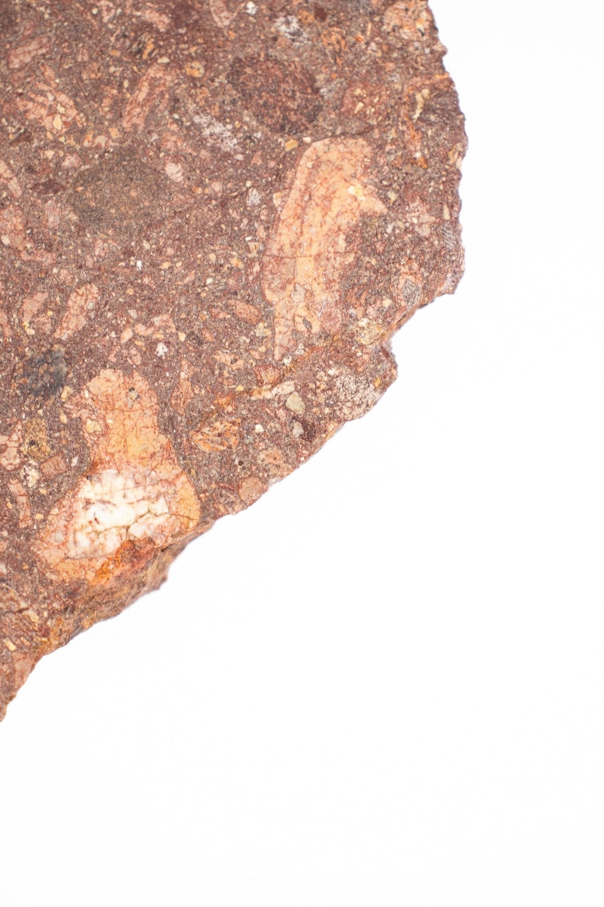 Suevite Impactite Fragment – Rochechouart Meteorite Impact Rock