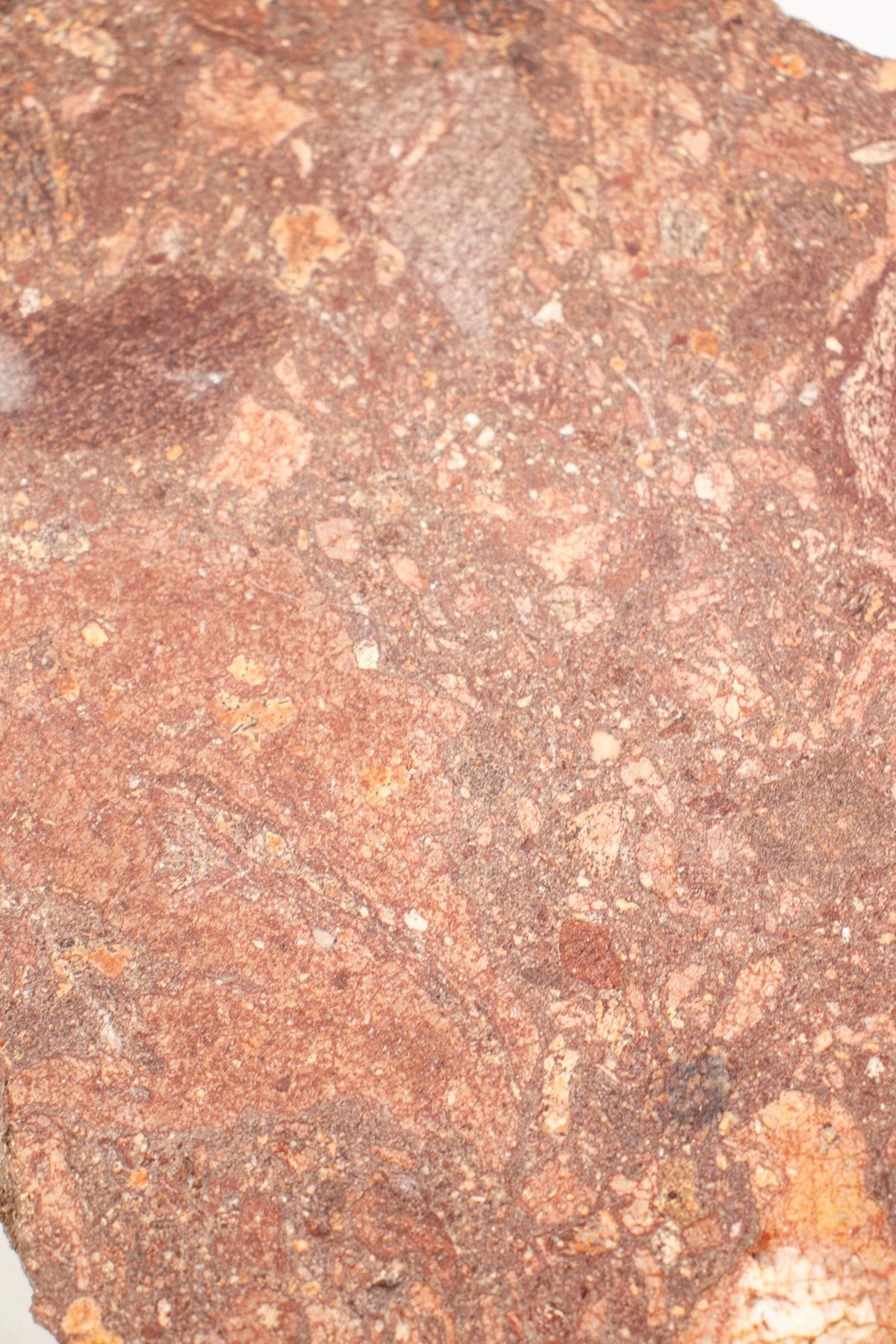 Suevite Impactite Fragment – Rochechouart Meteorite Impact Rock