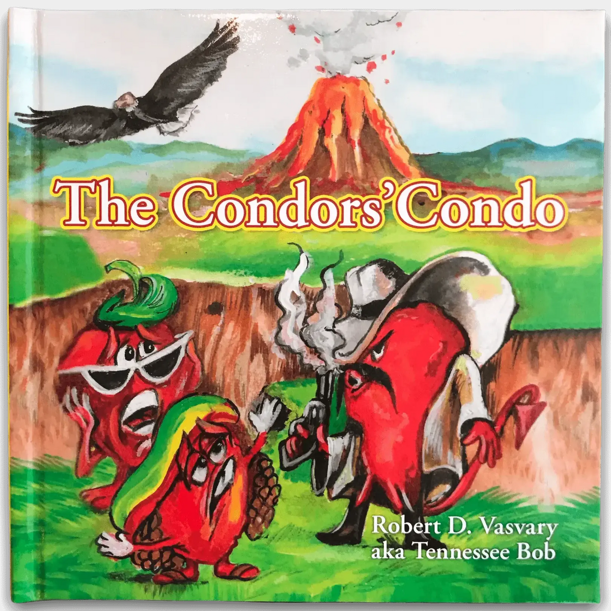 The Condors Condo
