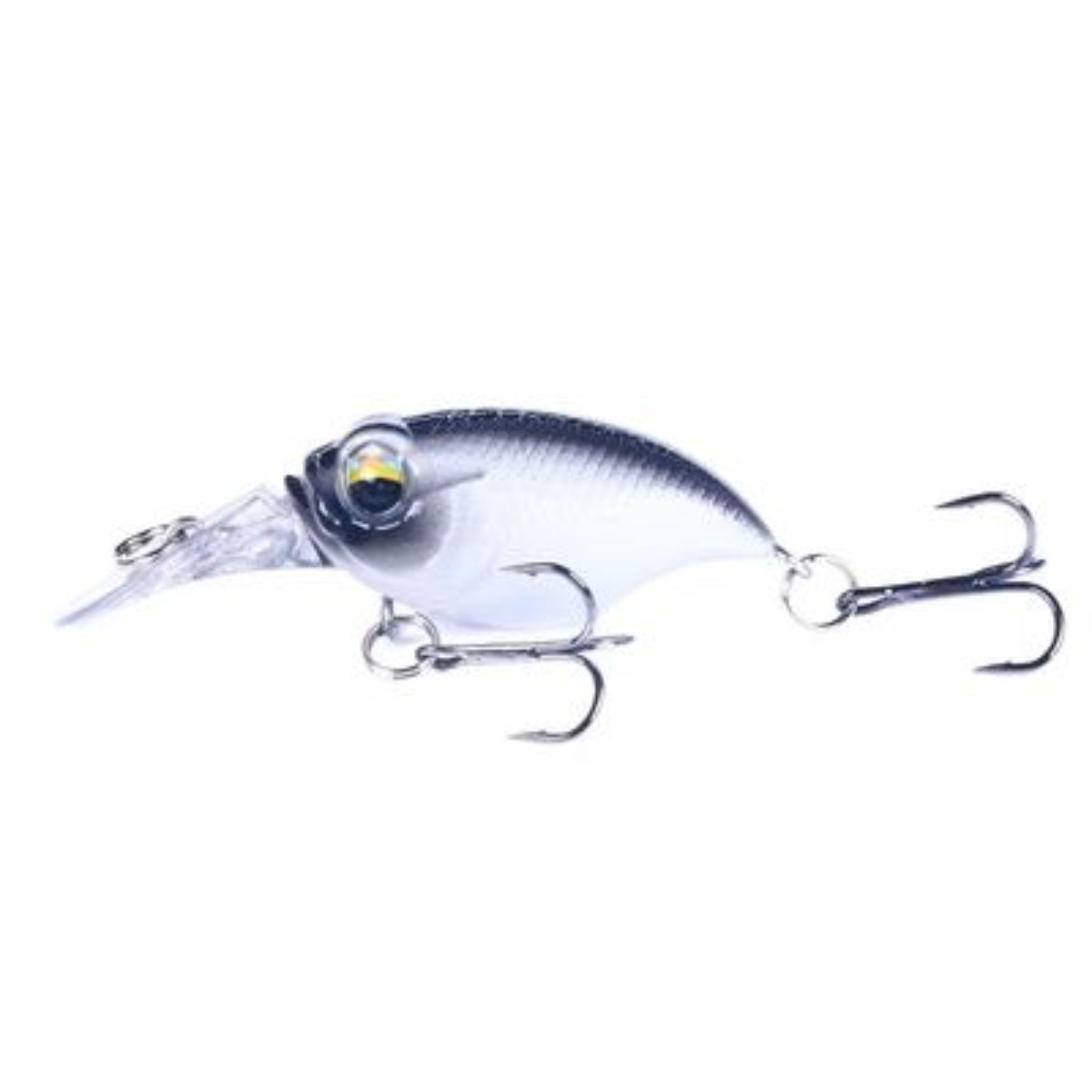 Mini Shad 2.4